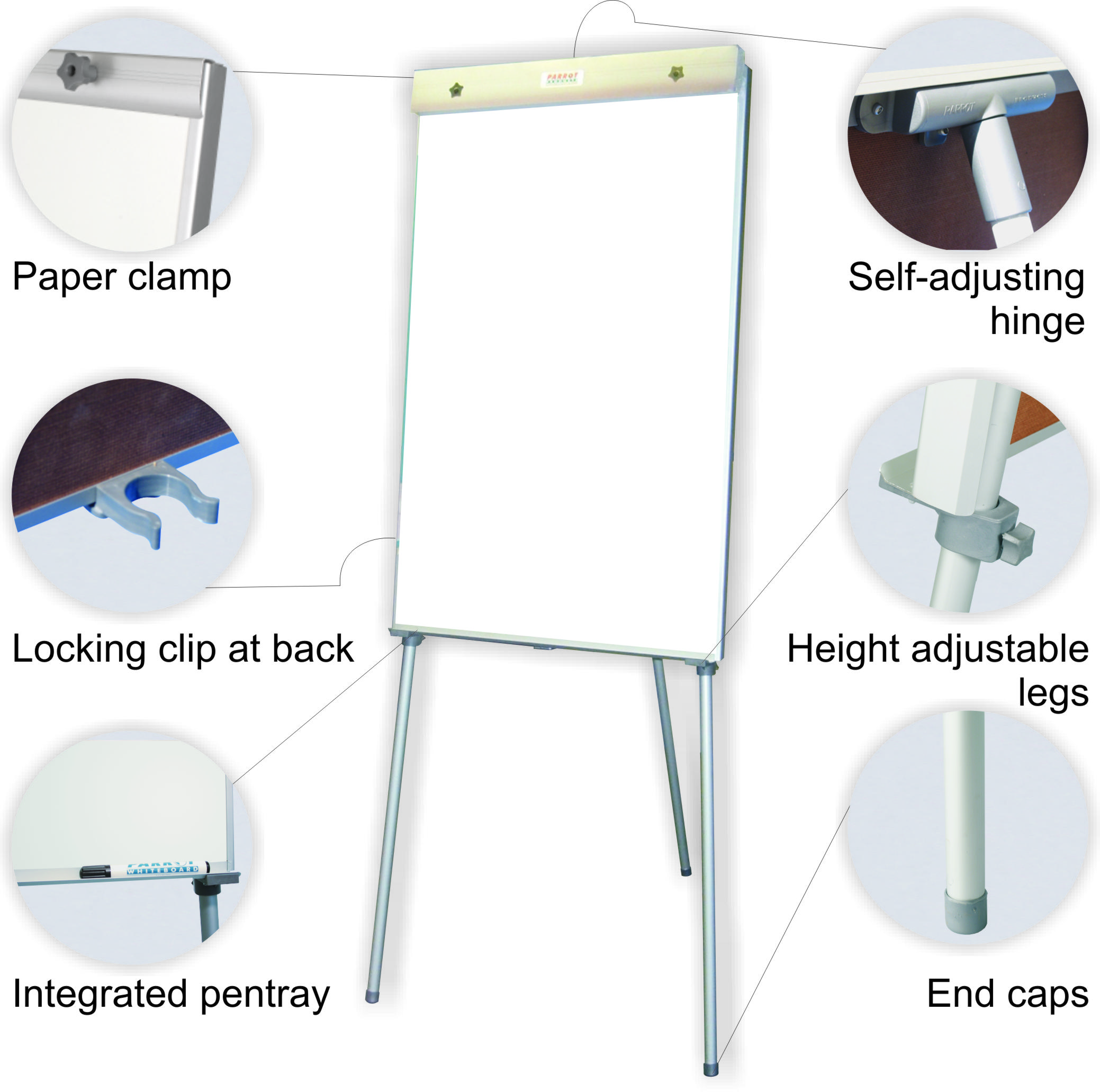 Parrot Standard Magnetic Flipchart – 100cm x 64cm