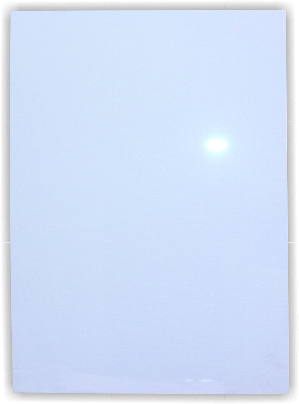Parrot Poster Frame Clear Media Cover – A3