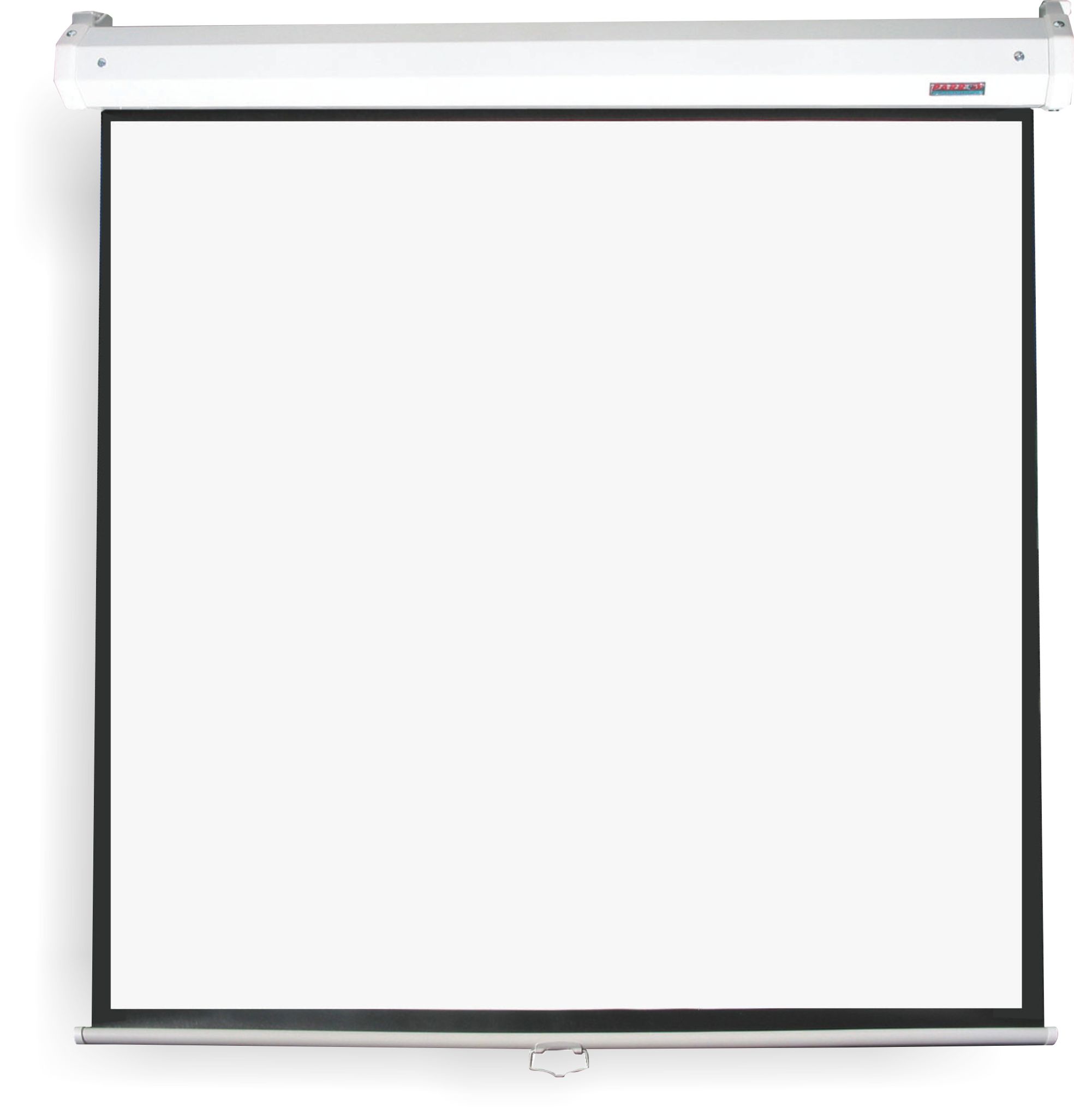 Parrot Pulldown Projector Screen – 1830 x 1830mm
