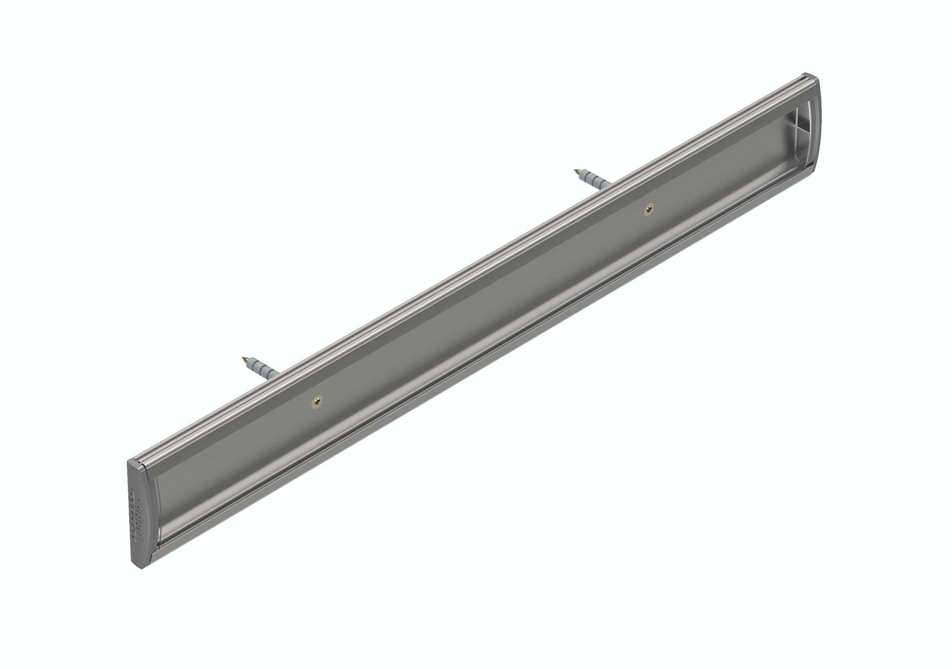 Parrot Sign Frame – 50 x 450mm