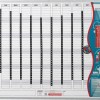 Parrot Perpetual Year Planner – 2400mm x 1200mm Parrot Perpetual Year Planner – 2400mm x 1200mm