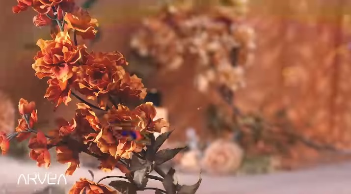 Collection Apricot by ARVEA Collection Apricot by ARVEA