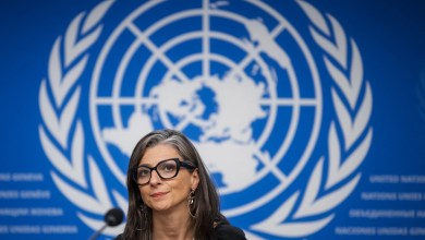 Over 100 artists for Palestine back UN’s Albanese after resignation calls | United Nations News Over 100 artists for Palestine back UN’s Albanese after resignation calls | United Nations News