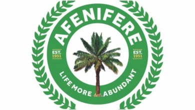 ‘Yorubaland under threat’ – Afenifere raises alarm over banditry, kidnappings ‘Yorubaland under threat’ – Afenifere raises alarm over banditry, kidnappings
