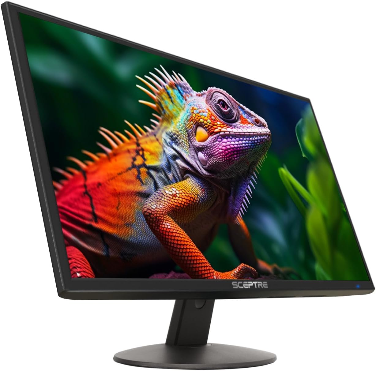 Sceptre 24-inch Professional Thin 1080p LED Monitor 99% sRGB 2x HDMI VGA Build-in Speakers, Machine Black (E248W-19203R Series) Sceptre 24-inch Professional Thin 1080p LED Monitor 99% sRGB 2x HDMI VGA Build-in Speakers, Machine Black (E248W-19203R Series)