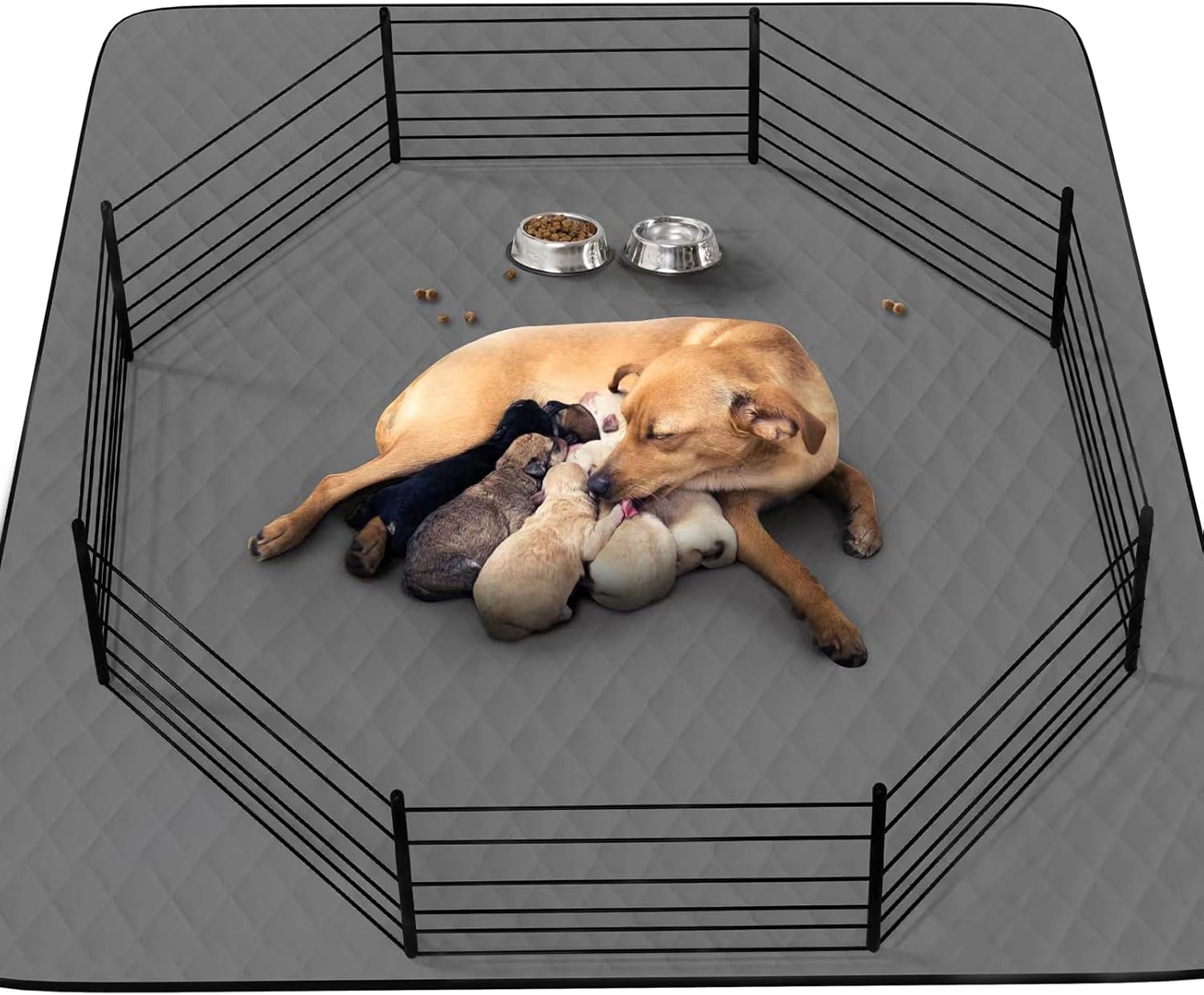 Washable Puppy Dog Pee Pad, 34″ X52″ Waterproof Whelping Training Pet Mat for Playpen, Crate, Potty, Floor, Bed, Sofa and Trunk, Reusable Pee Pads for Dogs, Cats, Bunny Washable Puppy Dog Pee Pad, 34″ X52″ Waterproof Whelping Training Pet Mat for Playpen, Crate, Potty, Floor, Bed, Sofa and Trunk, Reusable Pee Pads for Dogs, Cats, Bunny