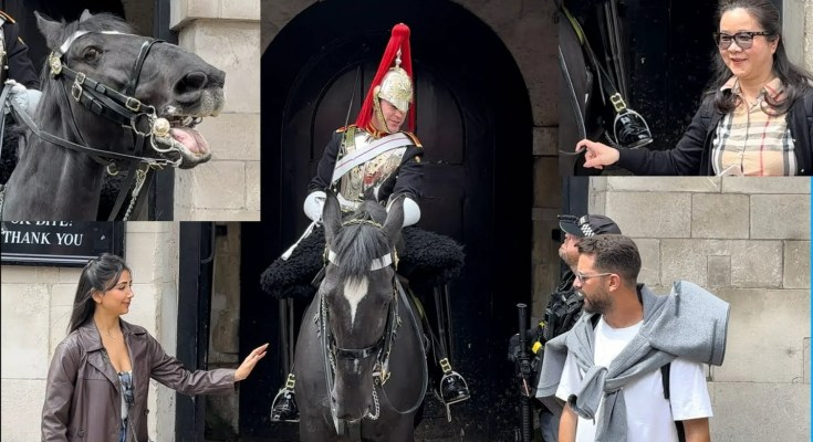 Massive Shout! King’s Guard Shouts At A Woman Twice, Armed Police Come To Check Massive Shout! King’s Guard Shouts At A Woman Twice, Armed Police Come To Check