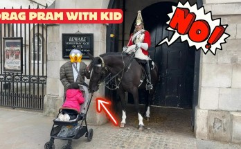 Shocking Footage King’s Guard Horse Almost Drags Pram with Child! Shocking Footage King’s Guard Horse Almost Drags Pram with Child!