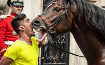 When DUMB Tourists TEST Royal Guards’ Horse & REGRET When DUMB Tourists TEST Royal Guards’ Horse & REGRET
