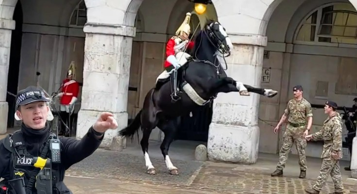 King’s Guard Shows Exceptional Horsemanship when Tourists Did this at Horse Guards Parade King’s Guard Shows Exceptional Horsemanship when Tourists Did this at Horse Guards Parade