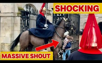 SHOCKING DAY: Can’t Believe this HAPPENED Again Today At Horse Guards LONDON SHOCKING DAY: Can’t Believe this HAPPENED Again Today At Horse Guards LONDON