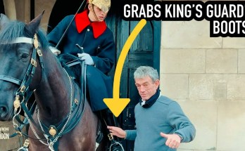 IGNORANCE OR DISRESPECTFUL Tourist Grabs Wrong Royal Guard Boots IGNORANCE OR DISRESPECTFUL Tourist Grabs Wrong Royal Guard Boots