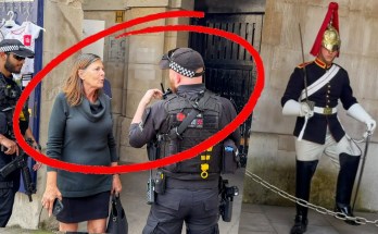 Armed Officers Confront a Lady: King’s Guards Have Had Enough Armed Officers Confront a Lady: King’s Guards Have Had Enough