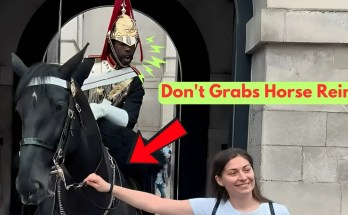 Never Touch the Horse’s Reins–Tourists Cross the Line with the Royal Guards! Never Touch the Horse’s Reins–Tourists Cross the Line with the Royal Guards!