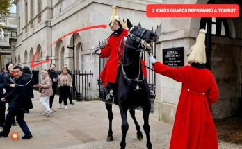 Title: The Unforgettable Encounter of Two King’s Guards Reprimanding Two Idiots at Horse Guards in London Title: The Unforgettable Encounter of Two King’s Guards Reprimanding Two Idiots at Horse Guards in London