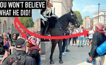 Man Disgusts Royal Guard & Police Speechless When He Did This! Man Disgusts Royal Guard & Police Speechless When He Did This!