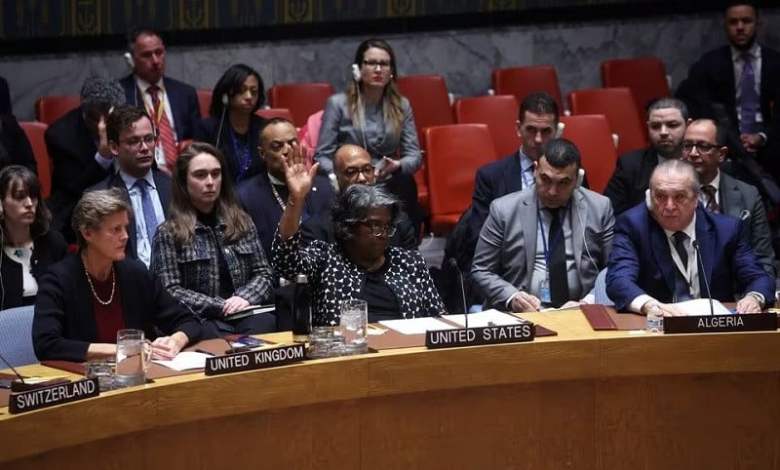 US vetoes UN call for immediate ceasefire, aid access in Gaza US vetoes UN call for immediate ceasefire, aid access in Gaza
