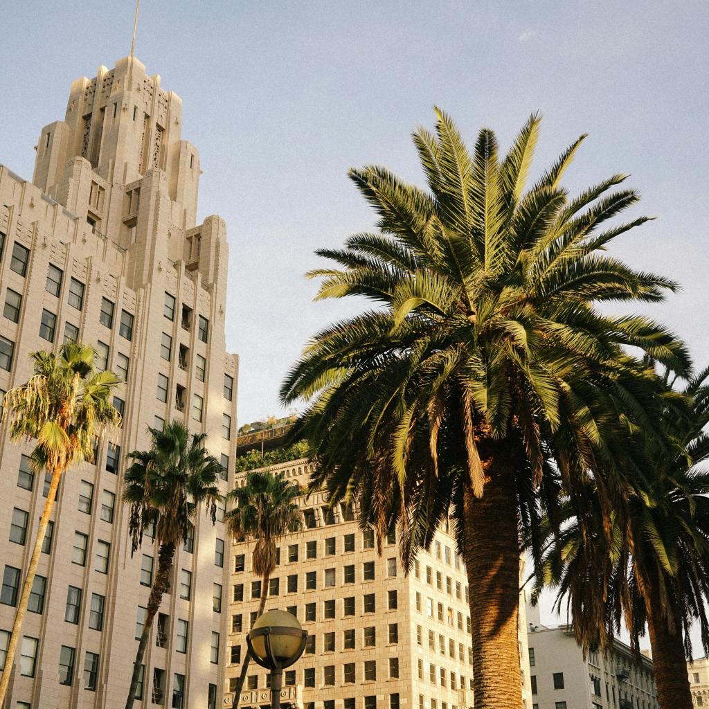 Roseland California Graphic Design Roseland California Graphic Design