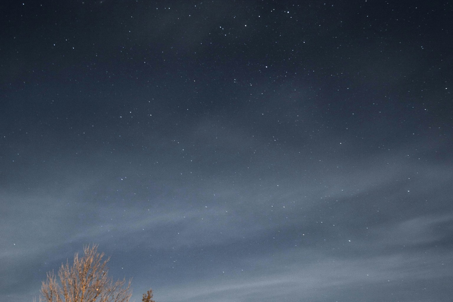 East Alto Bonito Texas Web Design East Alto Bonito Texas Web Design