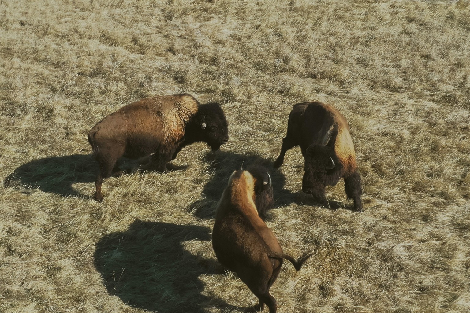 Doland South Dakota Web Design Doland South Dakota Web Design