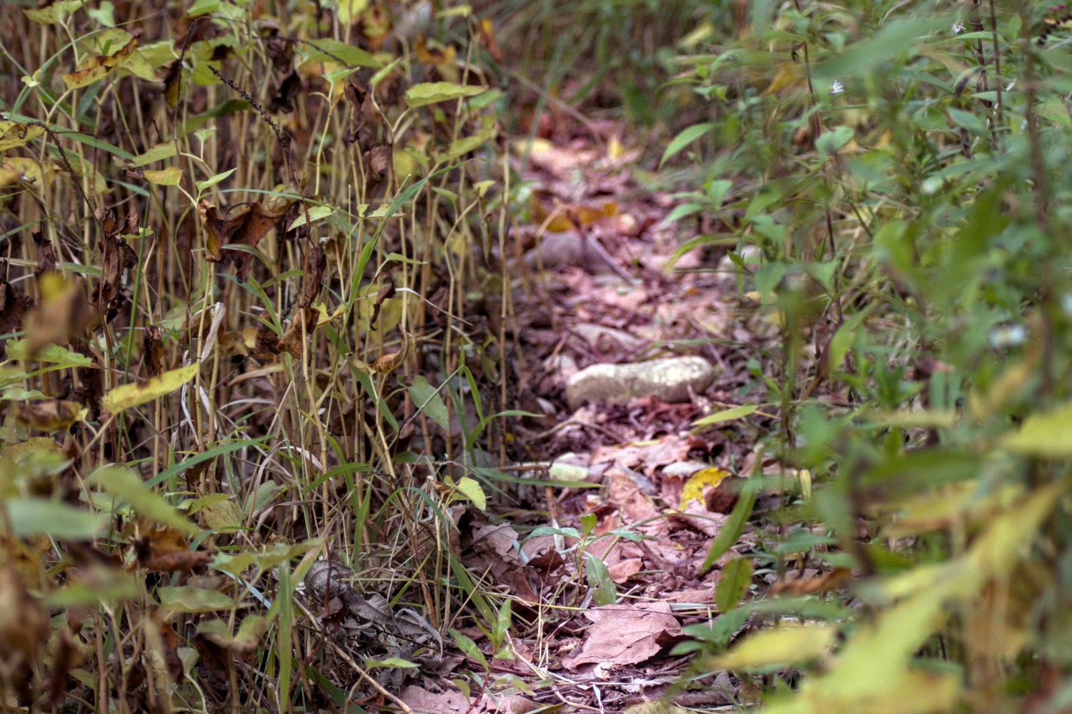 Coshocton Ohio Web Design Coshocton Ohio Web Design