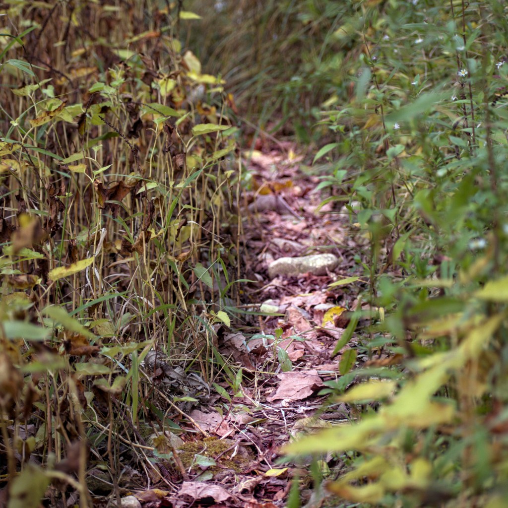 Cuyahoga Falls Ohio Web Design Cuyahoga Falls Ohio Web Design