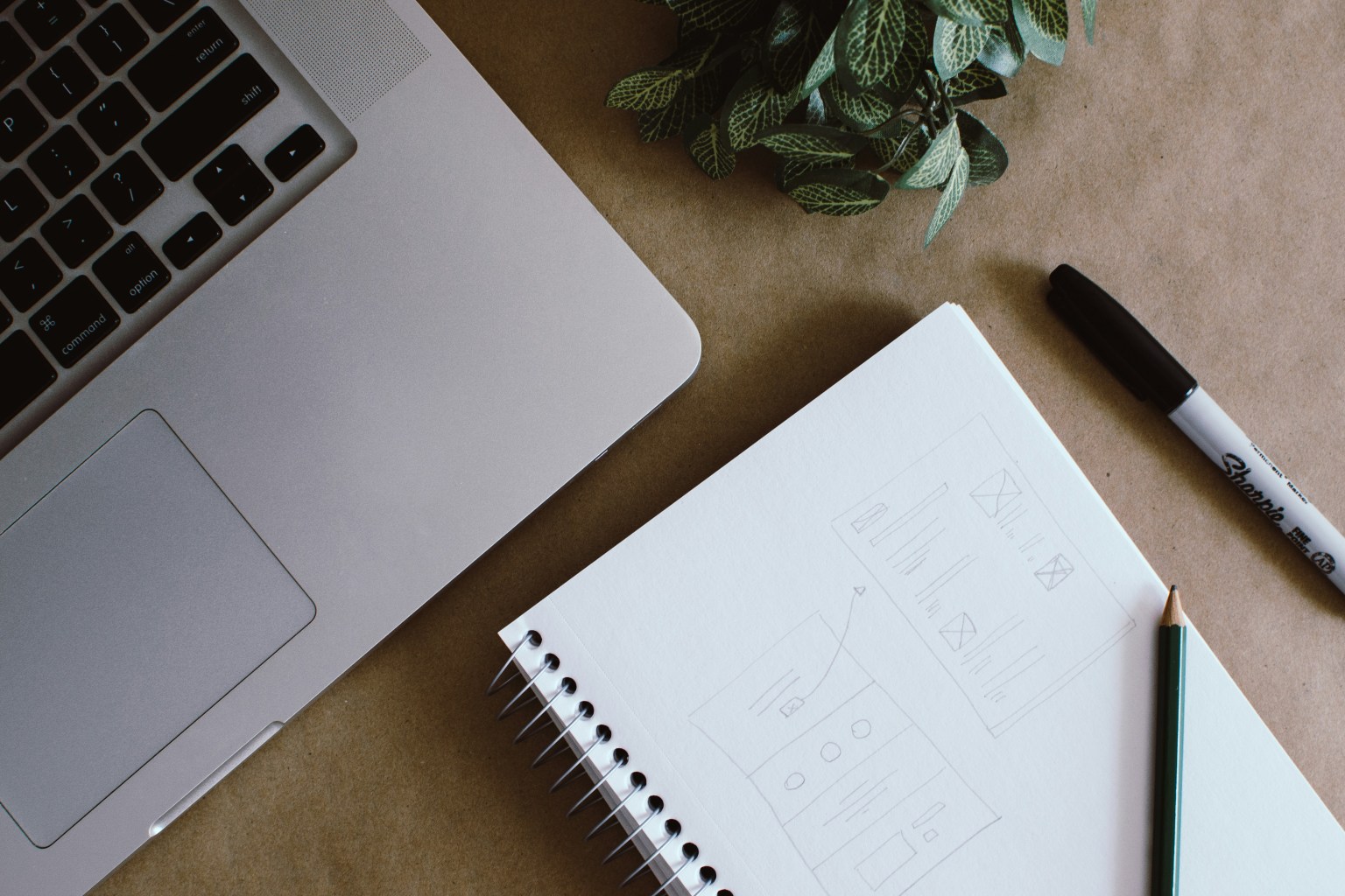 Bald Knob Arkansas Web Design Bald Knob Arkansas Web Design