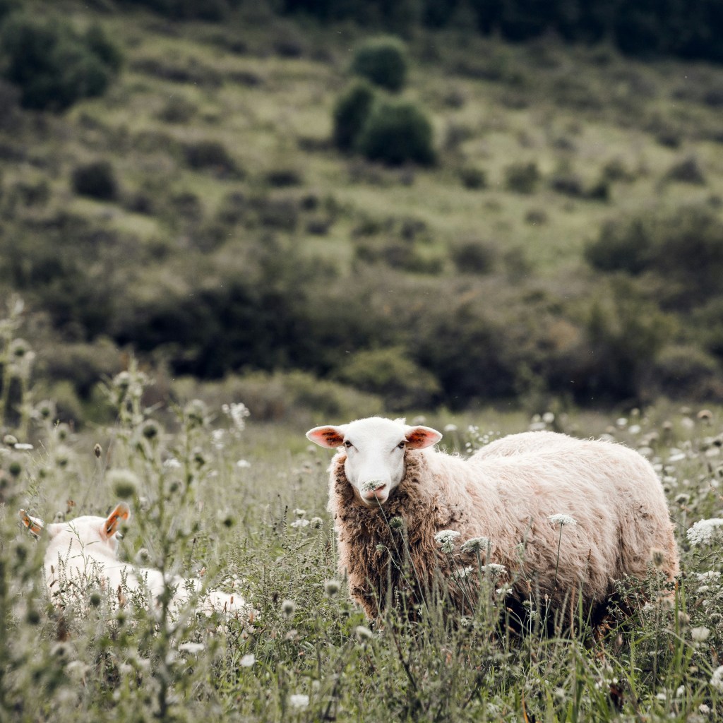 Broad Top City Pennsylvania Web Design Broad Top City Pennsylvania Web Design