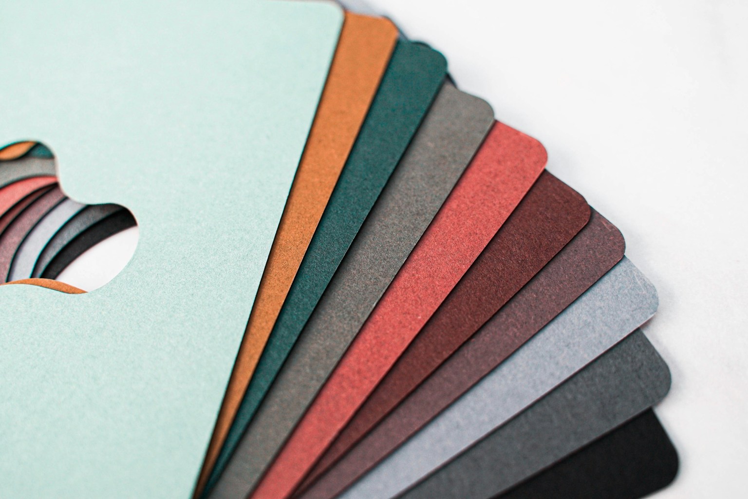 Asheville North Carolina Logo Designer Asheville North Carolina Logo Designer