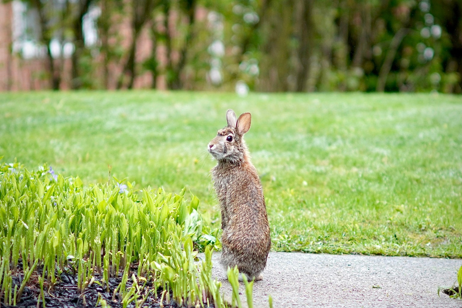 Apple Valley Ohio Web Design Apple Valley Ohio Web Design