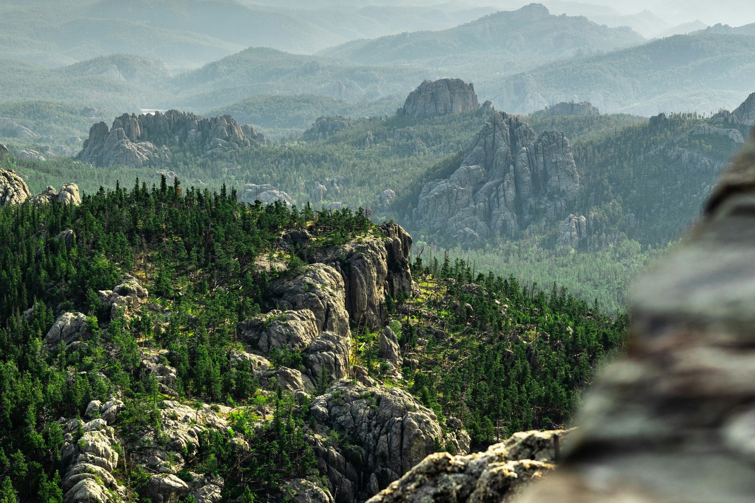 Cow Creek South Dakota Web Design Cow Creek South Dakota Web Design