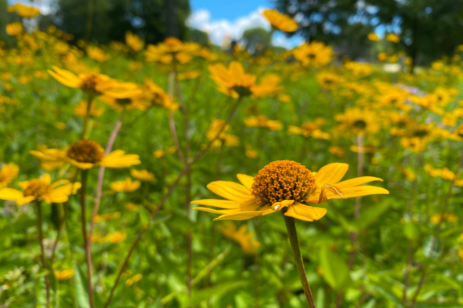 Sheboygan Wisconsin Web Design Sheboygan Wisconsin Web Design