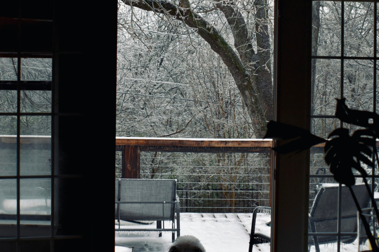 Liberty Texas Web Design Liberty Texas Web Design