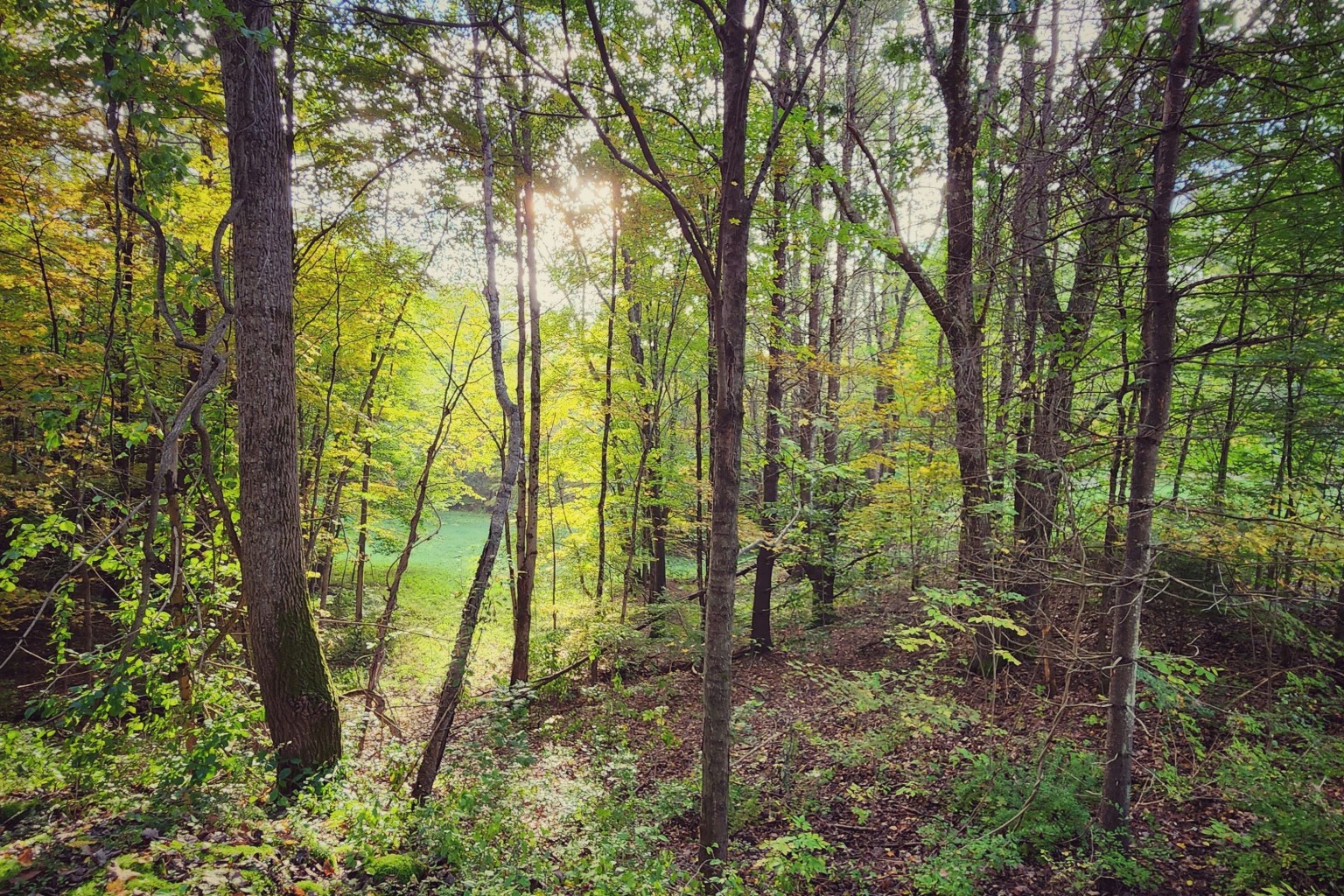 Ferrisburgh Vermont Web Design Ferrisburgh Vermont Web Design