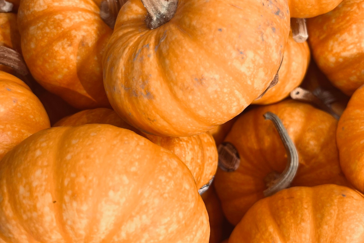 Ingleside Texas Web Design Ingleside Texas Web Design