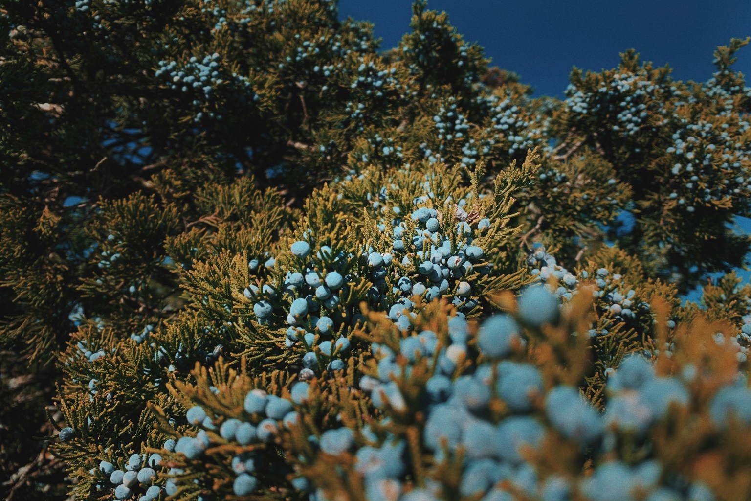 Bethany Oklahoma Web Design Bethany Oklahoma Web Design