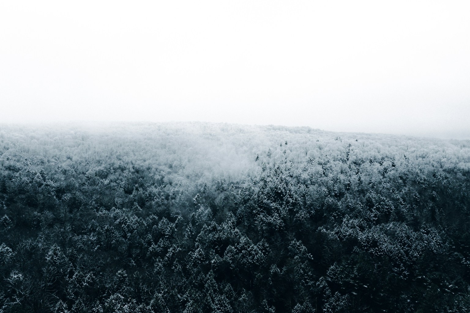 Wilmerding Pennsylvania Web Design Wilmerding Pennsylvania Web Design