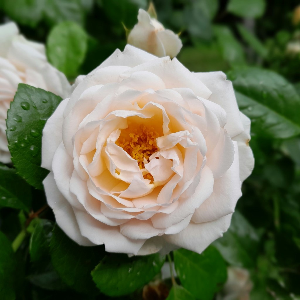 Lenkerville Pennsylvania Web Design Lenkerville Pennsylvania Web Design