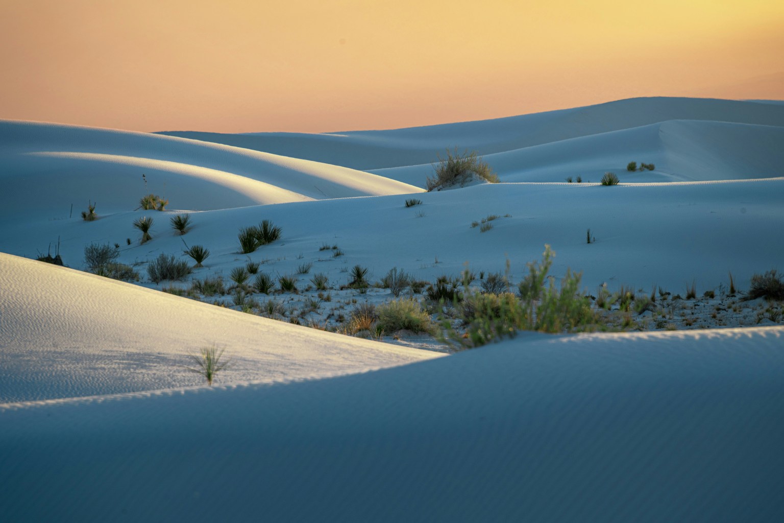 San Jon New Mexico Web Design San Jon New Mexico Web Design