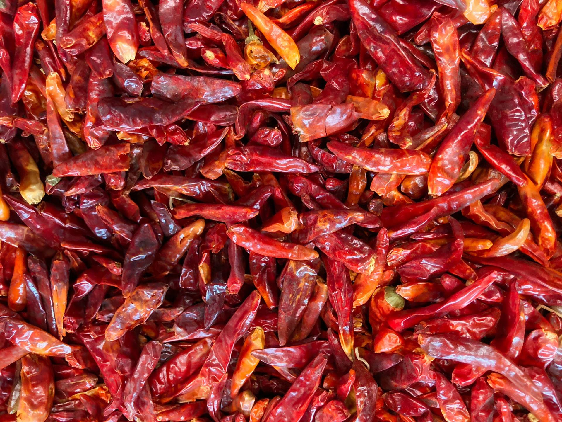 Building a Spicy Pepper Classifier with no datasets, 96% accuracy Building a Spicy Pepper Classifier with no datasets, 96% accuracy