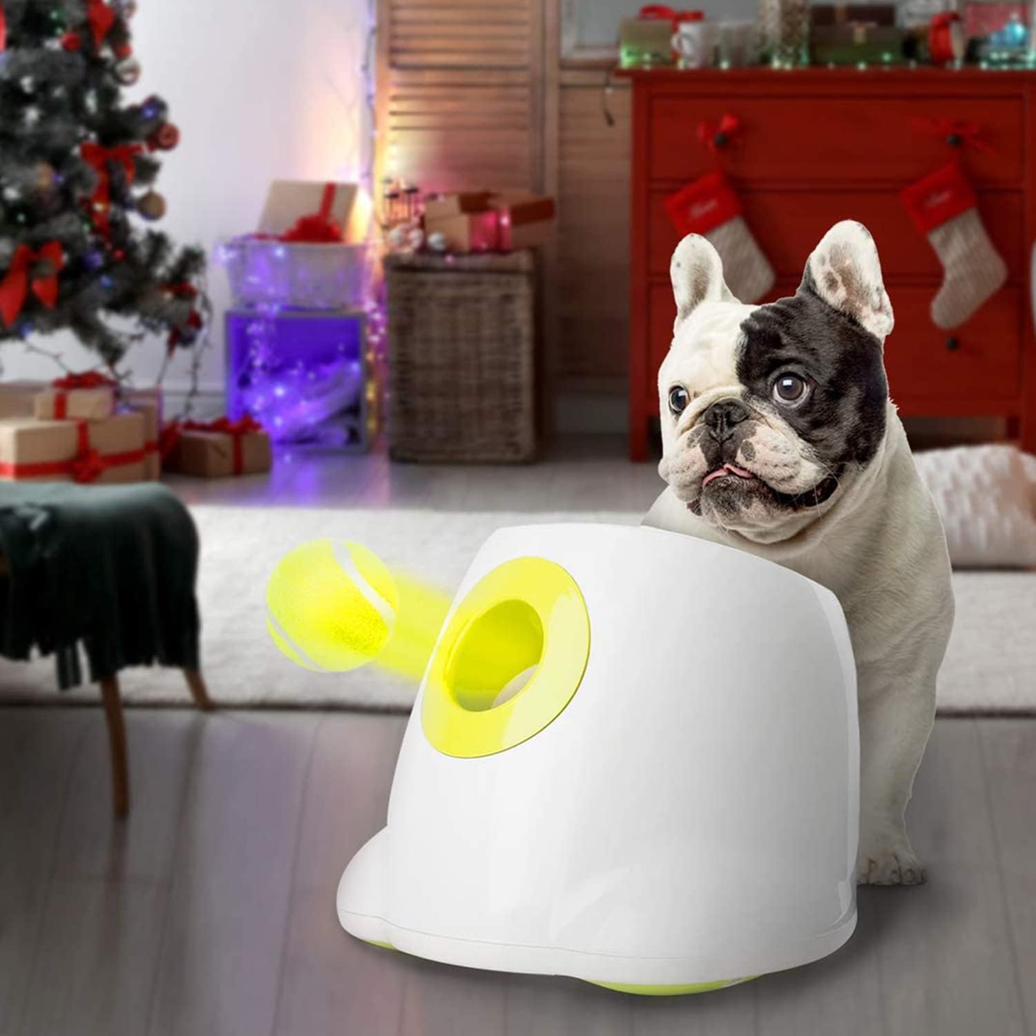 ALL FOR PAWS Original Dog Automatic Ball Launcher... ALL FOR PAWS Original Dog Automatic Ball Launcher...