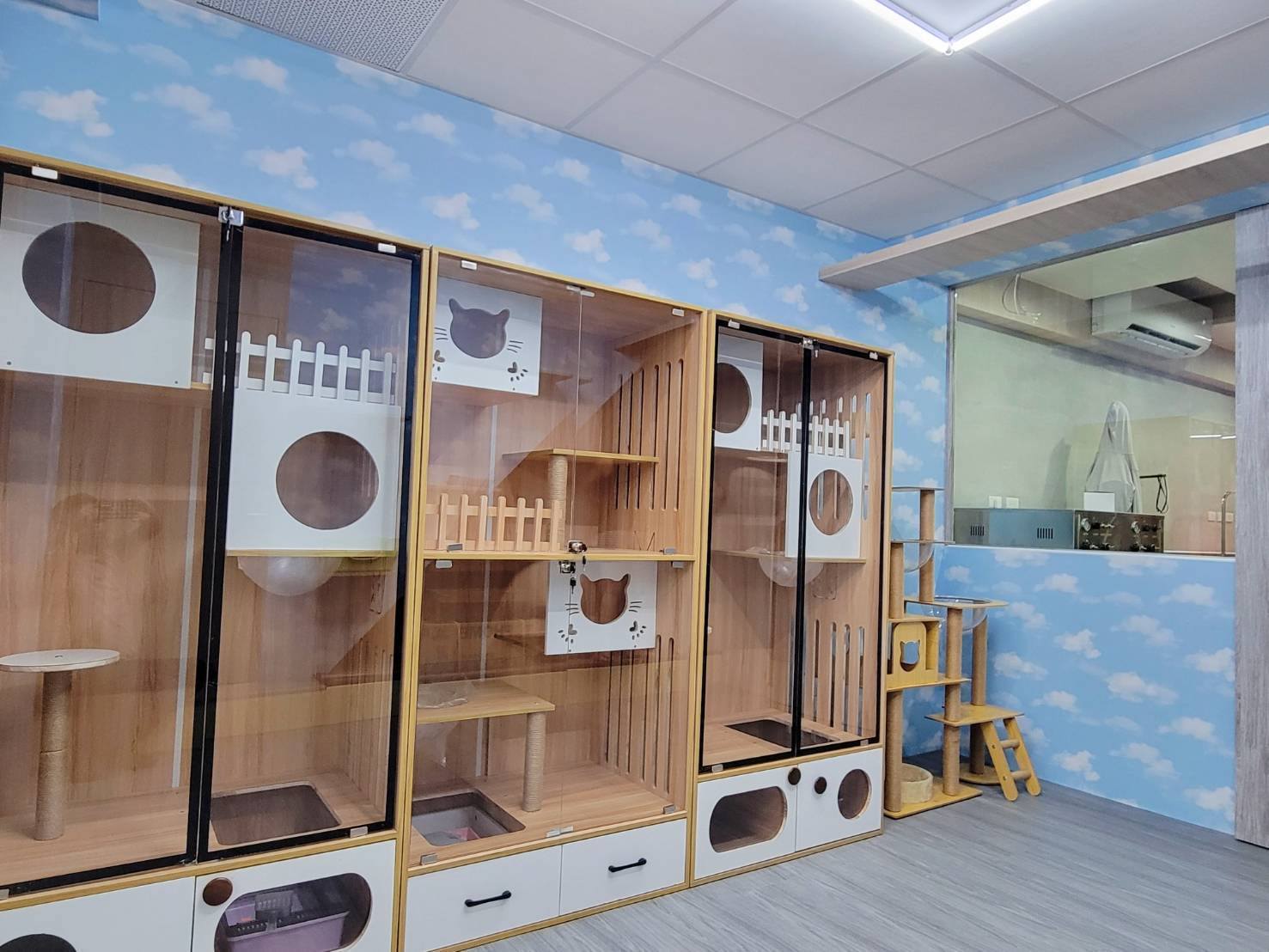 芊嬌寶貝寵物美學旅社真心用愛陪伴您的毛孩 5 510648834 122119571480876081 3307811203267833061 n