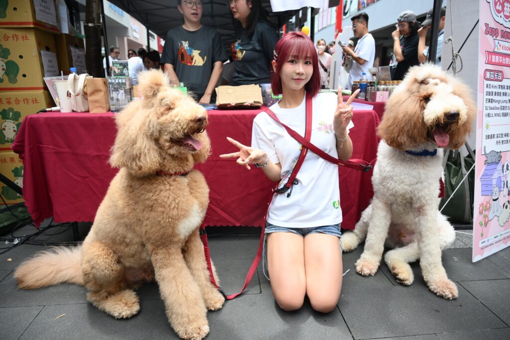 啦啦隊女神、實力唱將齊聚應援!禾羽 Kimi 公益單曲〈尋寶〉感動獻唱 12 S 195240260 0