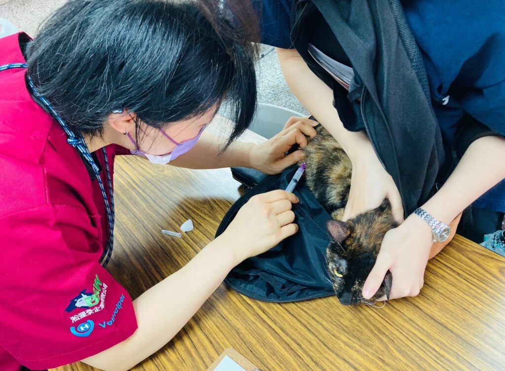 超好玩的《不浪了!踩街公益市集》7/26 西門町熱力展開!藝人表演、免費疫苗好康一次看 1 S 215932940 0