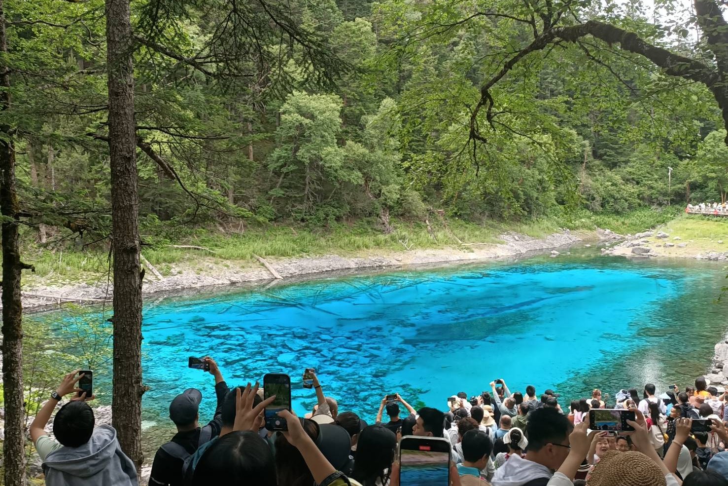 台灣青年創拍交流活動 走讀文化四川九寨溝 1 ▲九寨溝五彩池夢幻的寶石藍讓所有旅客如癡如醉。(圖/主辦單位提供)