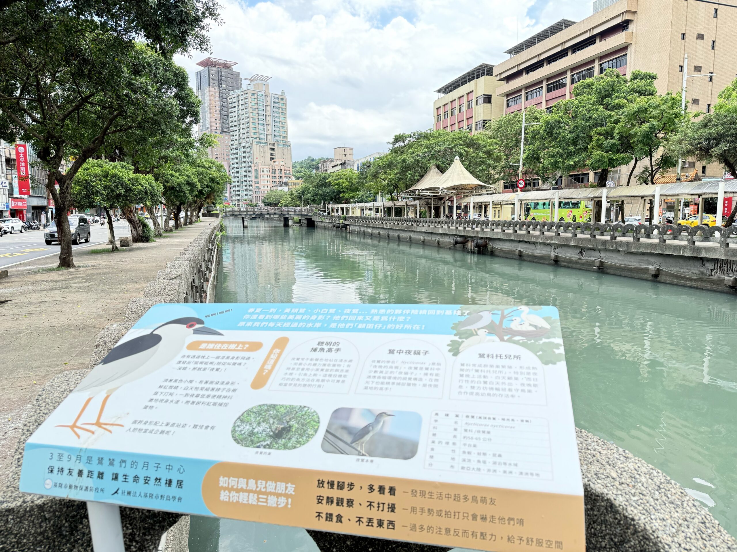 基隆市田寮河「黃頭鷺」生態說明牌引導環境共融共好 10 S 73719848 scaled