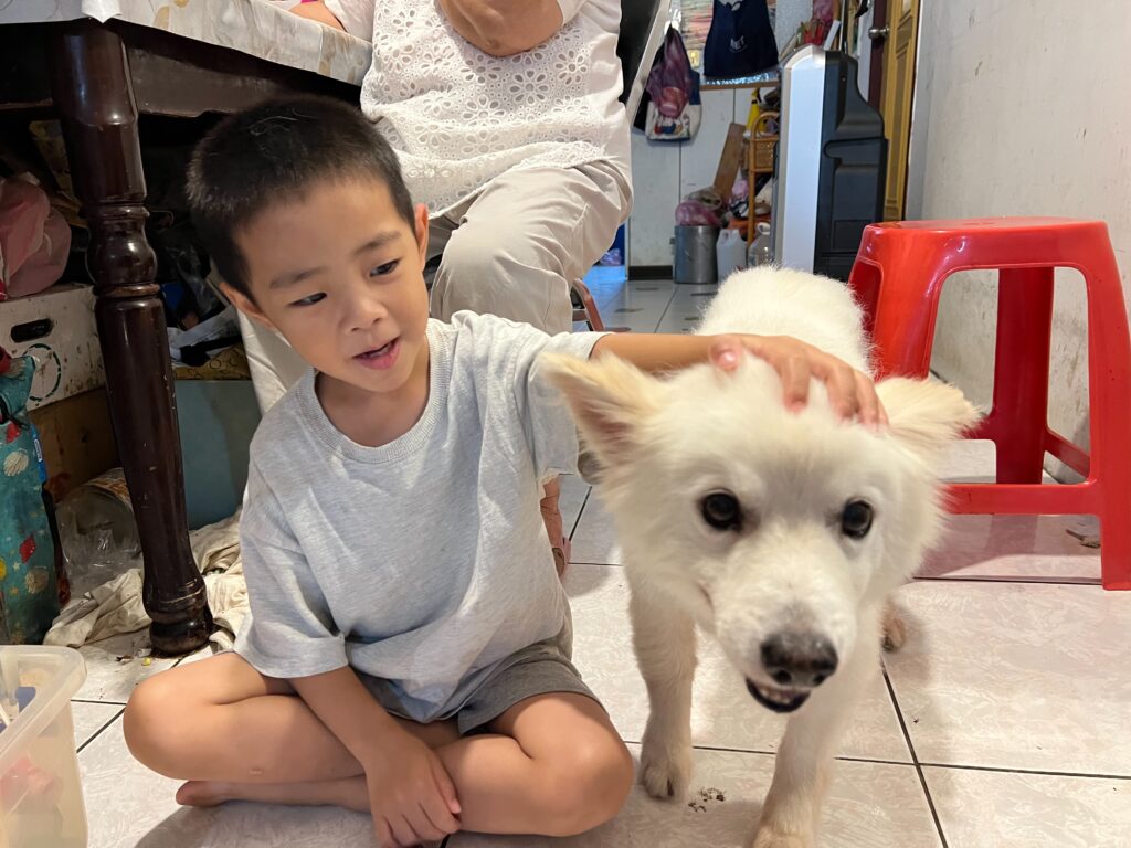 從躲過路殺危險到幸福阿吉 流浪毛寶貝與新北動保員日久生情憑添佳話 7 %E4%B9%96%E5%B7%A7%E9%98%BF%E5%90%89%E8%83%BD%E5%A4%A0%E9%99%AA%E4%BC%B4%E5%AE%B6%E4%BA%BA%E5%B0%8F%E5%AD%A9%E8%AE%80%E6%9B%B8%E5%92%8C%E5%BF%AB%E6%A8%82%E7%8E%A9%E8%80%8D