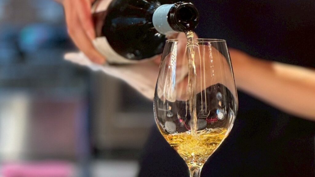 打造鬆弛而有儀式感的餐酒體驗!西班牙 BAR SALUD 進駐春大直創「私廚X客座」酒窖概念 2.0 11 %E4%BE%8D%E9%85%92 1