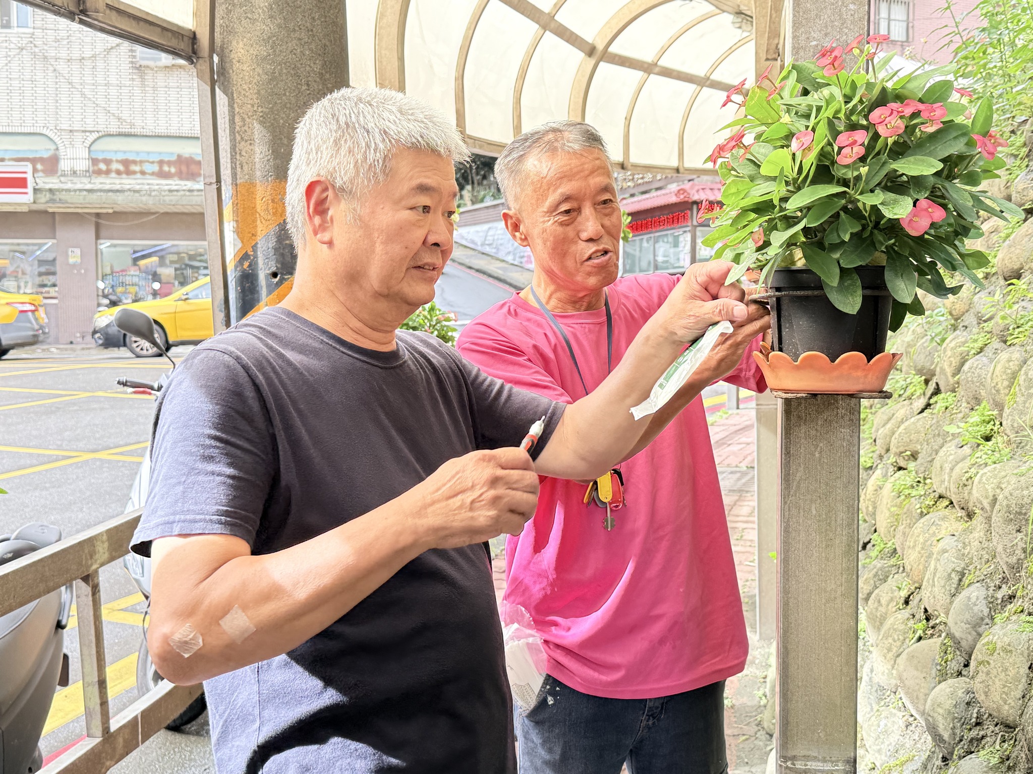 【社區有愛鄰里有情】愛家愛鄉的園丁打造美麗宜居社區 7 522815517 24281812971454997 6581379633135300364 n