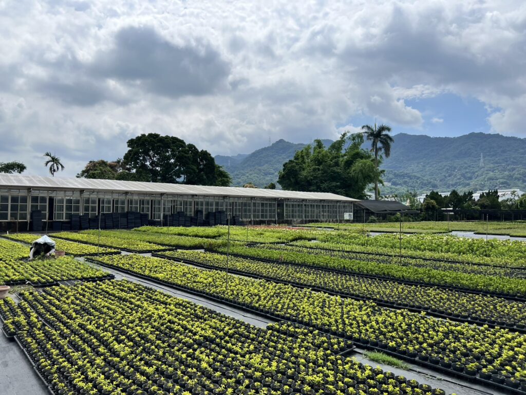 新北景觀處不藏私 分享園藝植栽養護小撇步 21 %E4%B8%89%E5%B3%BD%E5%A4%A7%E5%9F%94%E8%8B%97%E5%9C%83%E7%B4%AF%E7%A9%8D%E8%B1%90%E5%AF%8C%E7%9A%84%E5%9C%92%E8%97%9D%E6%A0%BD%E6%A4%8D%E8%88%87%E7%85%A7%E8%AD%B7%E7%B6%93%E9%A9%97%EF%BC%8C%E7%82%BA%E6%96%B0%E5%8C%97%E5%B8%82%E7%9A%84%E7%B6%A0%E5%8C%96%E7%BE%8E%E5%8C%96%E6%8F%90%E4%BE%9B%E7%A9%A9%E5%AE%9A%E6%94%AF%E6%8C%81